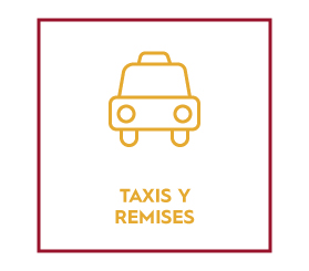 Taxis y remises